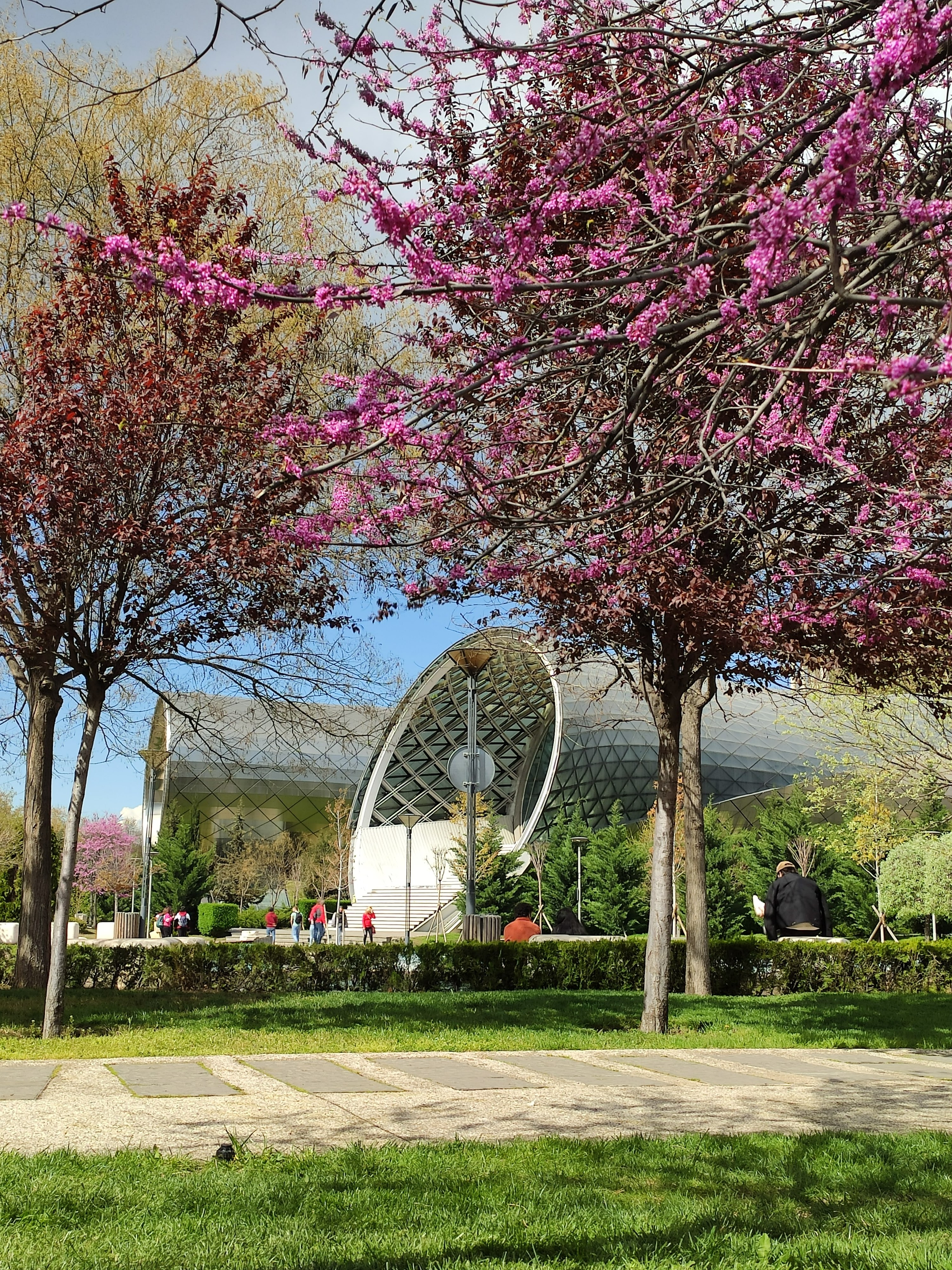 Станция канатной дороги в парке Рике с видами на крепость